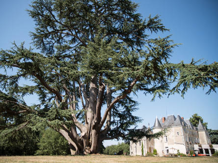 Château de Piolant l'entrée